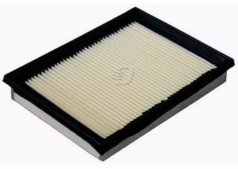 Hava Filtresi  SARDES SA2162  TAMT9601 Z2S619601C1A 2S619601C1A 1140778 1140 778 1729854 1729 854 2S61-9601-C1A 2S619601CA 2S61-9601-CA TAMT9601FBNZ TAM T9601 FBNZ C60113Z40A C601-13-Z40A C60113Z40