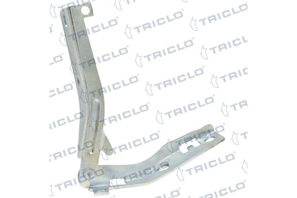 Motor Kaput Menteşesi Sağ Peugeot 206 Sedan (09.2006->)  MBY 50201