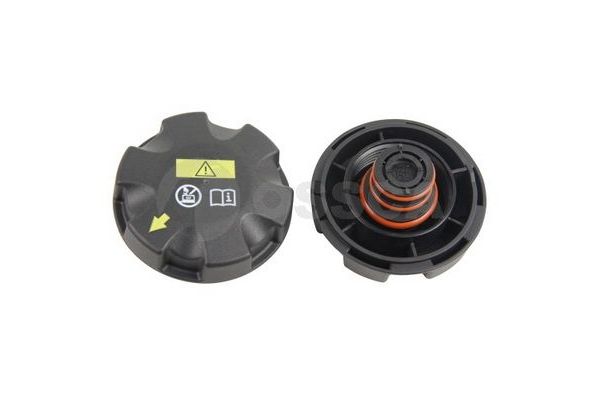 Radyatör Yedek Su Depo Kapağı  BMW M6 Serisi Cabrio (F12)(2012->)  FRENDI 24536