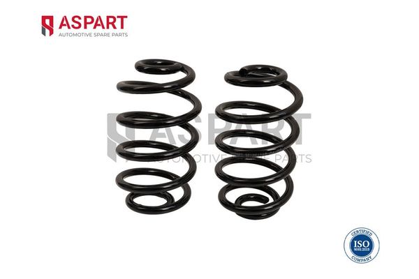 Helezon Yayı Arka ASPART 1CSP1078