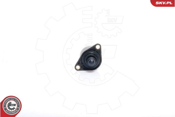 Rölanti Ayar Motoru (Valfi)  PSA ORJINAL 34595