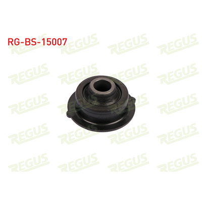 Salıncak Burcu Ön Alt Sağ veya Sol Citroen C3 Pluriel (05.2003->)  REGUS RG-BS-15007