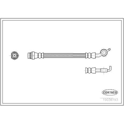 Fren Hortumu Arka Sol CORTECO 19036193