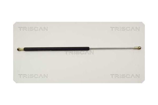 Bagaj Amortisörü Sağ veya Sol FROW 372.1624.003