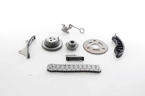 Triger Zincir Seti  BSG 65-102-002