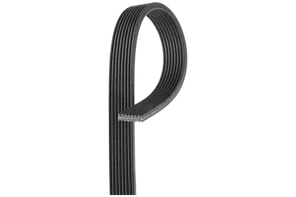 Vantilatör Kayışı  BMW 7 Serisi (F01/F02/F04)(01.2009->)  GATES 8DPK1825