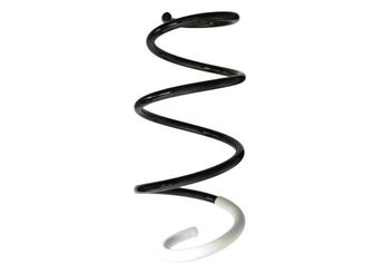 Helezon Yayı Ön SPIDAN GKNW10173  540102606R 54 01 026 06R