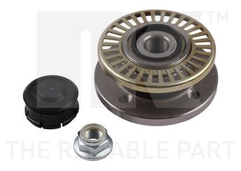 Teker Rulmanı Arka Sağ veya Sol SNR TGB.12095.S47  7701204692 7700803923 77 00 803 923 77 01 204 692