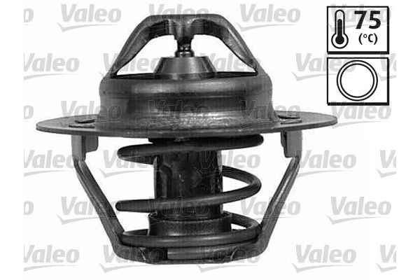 Termostat  Renault Clio III (08.2005->)  VALEO 820786