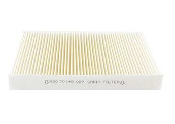 Polen Filtresi  BSG 70-145-009  1616959080 647945 647946 9682603680