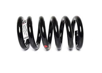 Helezon Yayı Ön BSG 30-305-002  92VB5310HB 1056881 6608828