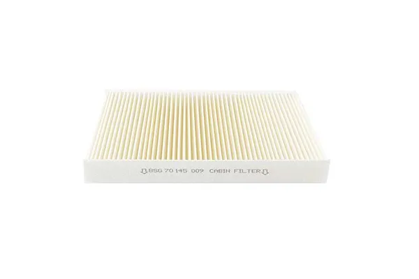 Polen Filtresi  BSG 70-145-009