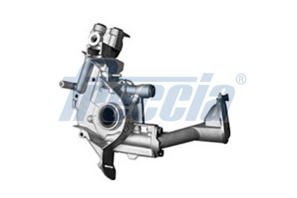 Yağ Pompası  SCHADEK 10188