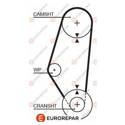 Triger Kayışı  Volkswagen Polo II 2F (801/803)(10.1990->1994)  EUROREPAR 1633137280