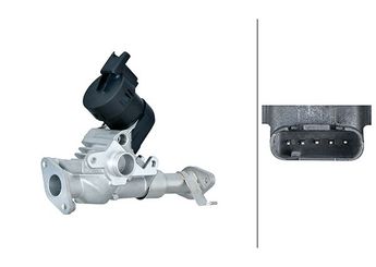 Egr Valfi  HELLA 6NU 014 864-981  11717563241 11 71 7 563 241 7563241 7 563 241