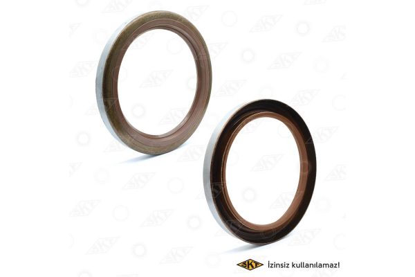 Aks Keçesi  SKT 412212-V