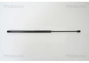 Bagaj Amortisörü Sağ veya Sol PSA ORJINAL 8731G6  8731G6 8731.G6