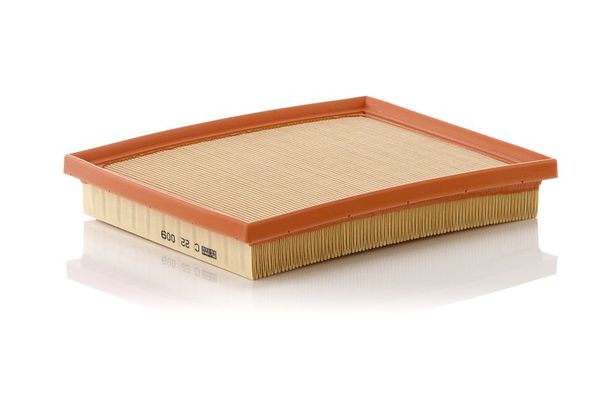 Hava Filtresi  Toyota RAV4 (A4)(2013->)  MANN C 22 009