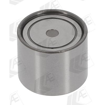 Supap Tapet  INA 421 0027 10