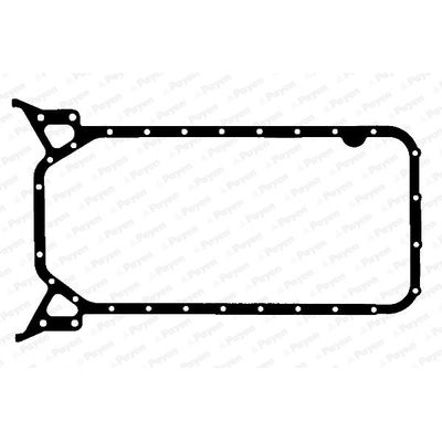 Karter Contası  PAYEN JJ499