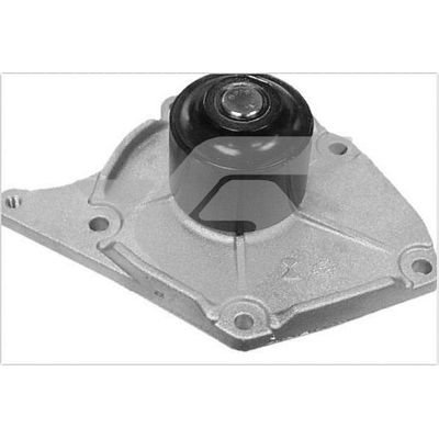 Devirdaim Su Pompası  Renault Clio II / (Makyajlı)(B/CB0)(06.2001->)  HUTCHINSON WP45