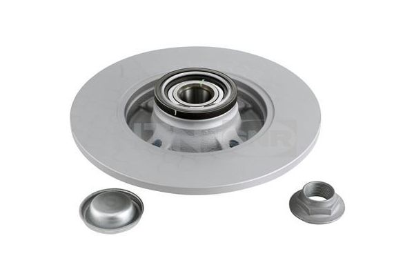 Fren Disk Ayna Arka Sağ ve Sol SNR KF159.57U