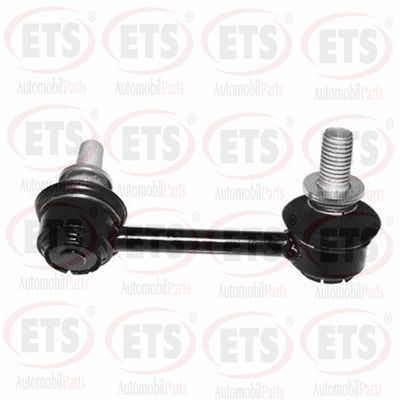 Viraj Demir Askı Rotu Arka Sol RIW CD4013