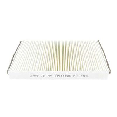 Polen Filtresi  Citroen Jumper Kamyonet (06.2014->)  BSG 70-145-004