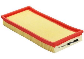 Hava Filtresi  PSA ORJINAL E147158  E147158 46783544 50515501 51775340 51806865 51924757 6000633311 68326290AA K68326290AA 834659 08 34 659 95513051 095513051