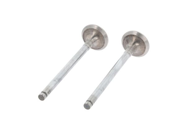 Supap  SUPAR 105116108