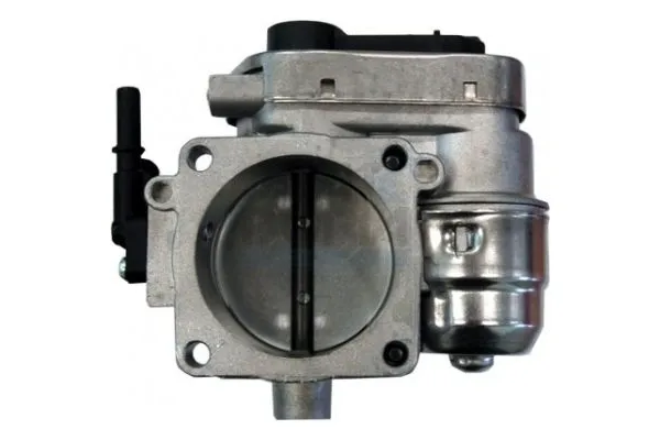 Gaz Kelebeği  PSA ORJINAL 163615