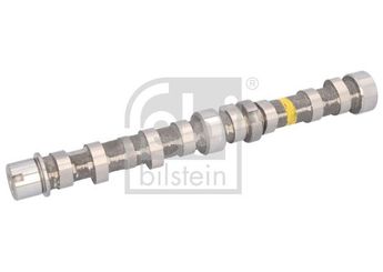 Eksantrik Mili  FEBI BILSTEIN 183801  55206898 0055206898 801GK 0801.GK 801.GK 1724837 1 724 837 BS516250BA BS51-6250-BA 055206898 1271568L10 12715-68L10