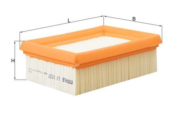 Hava Filtresi  FUJI FH13123