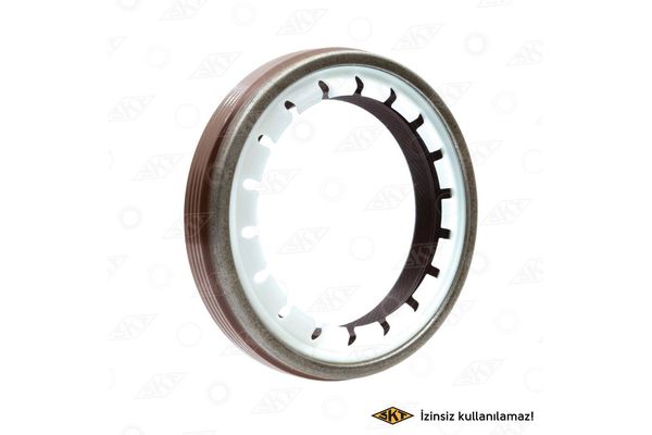 Aks Keçesi  SKT 046220-VL