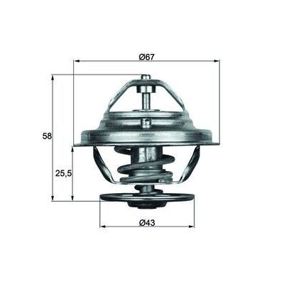 Termostat 75 °C  Mercedes S -Serisi 4 Kapı (BM 116)(09.1972->)  MAHLE TX 19 75D
