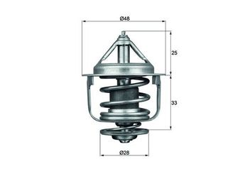 Termostat  MAHLE TX 87 77D  2120077A60 2120077A00 1N0315171 1N03-15-171 1N0415171 1N04-15-171 1N0515171 1N05-15-171 1N1115171 1N11-15-171 21200-77A00 21200-77A60 2120077A61 21200-77A61 2120077A63 21200-77A63