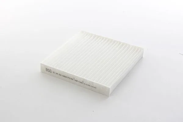 Polen Filtresi  Iveco Daily P.Van (2014->)  BSG 25-145-014