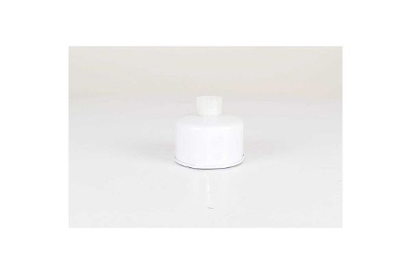 Yakıt Filtresi  BSG 15-130-008