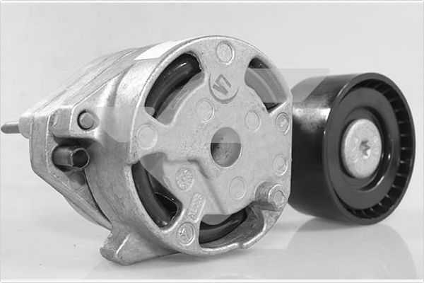 Vantilatör Kayış Gergi Rulmanı  BMW 3 Serisi Touring (F31)(2012->)  GVA 2799829K