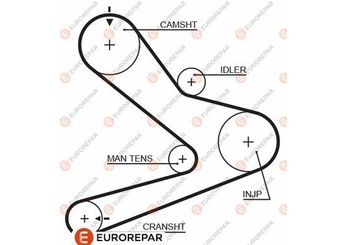 Triger Kayışı  EUROREPAR 1633134880  816A4 0816A4 99456477 2997804 500055908 503643970 503644954 99430032 4500879 9161179 5001836608 7701044188