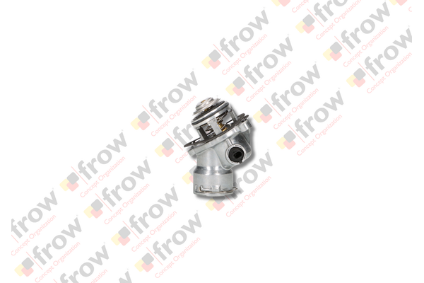 Termostat  FROW 489.1405.004