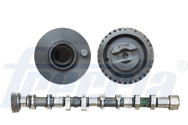 Eksantrik Mili  ESTAS 09025