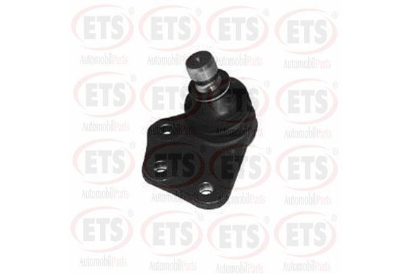 Rotil Alt Sağ WONGA 101067