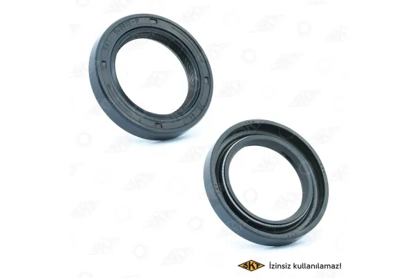 Eksantrik Keçesi  SKT 040910-P