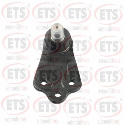 Rotil Alt Sağ veya Sol RIW AF1510