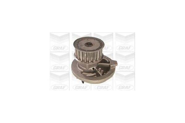 Devirdaim Su Pompası  GRAF PA236