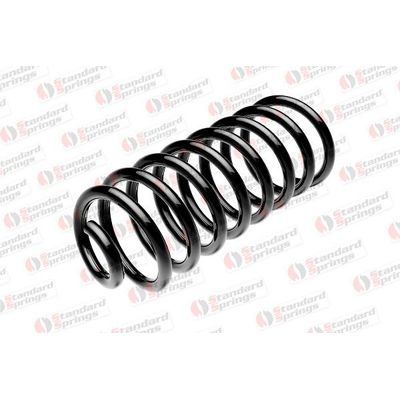 Helezon Yayı Arka OTOZONE HYA1210