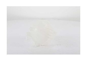 Radyatör Yedek Su Deposu  BSG 60-551-002  9065010503 A9065010503 906 501 05 03 A906 501 05 03