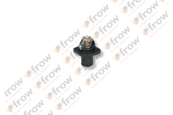Termostat  Citroen Jumpy (11.2003->)  FROW 254.1405.002