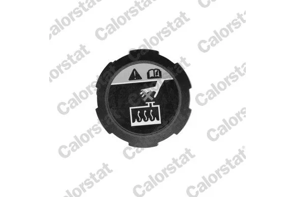 Radyatör Yedek Su Depo Kapağı  HYUNDAI ORJINAL 25330D3000